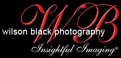 wilson black photography - insightful imaging